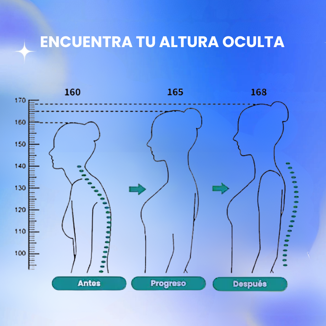 AlineoPedia® - Corrector de Postura
